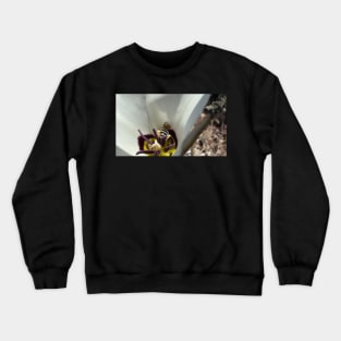 Wild Bee Butt Crewneck Sweatshirt